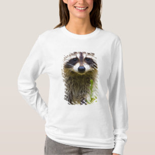 Der Waschbär, Procyon lotor T-Shirt
