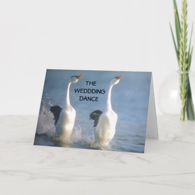 DER WEDDDANCE KARTE (Vorderseite)