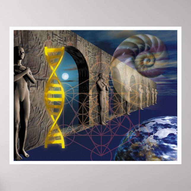 Der Weg der Evolution Poster (Vorne)