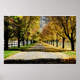 Der Weg der Farben Poster