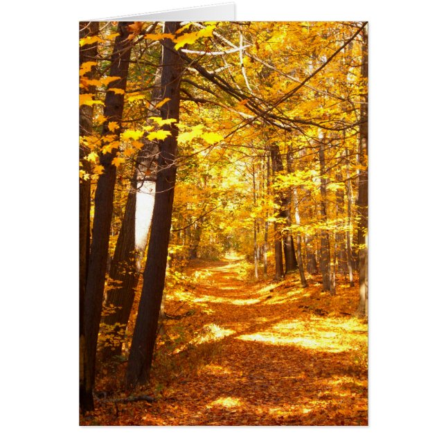 Der Weg, der nicht genommen wurde (Vorne)