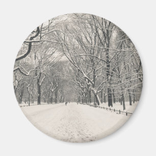 Der Weg des Dichters - Central Park-Winter Magnet