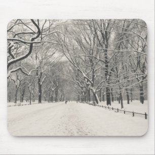 Der Weg des Dichters - Central Park-Winter Mousepad