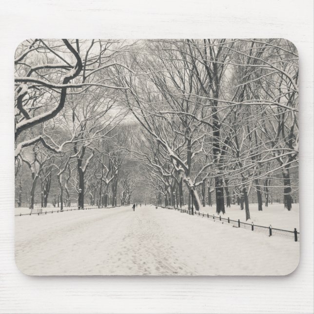 Der Weg des Dichters - Central Park-Winter Mousepad (Vorne)