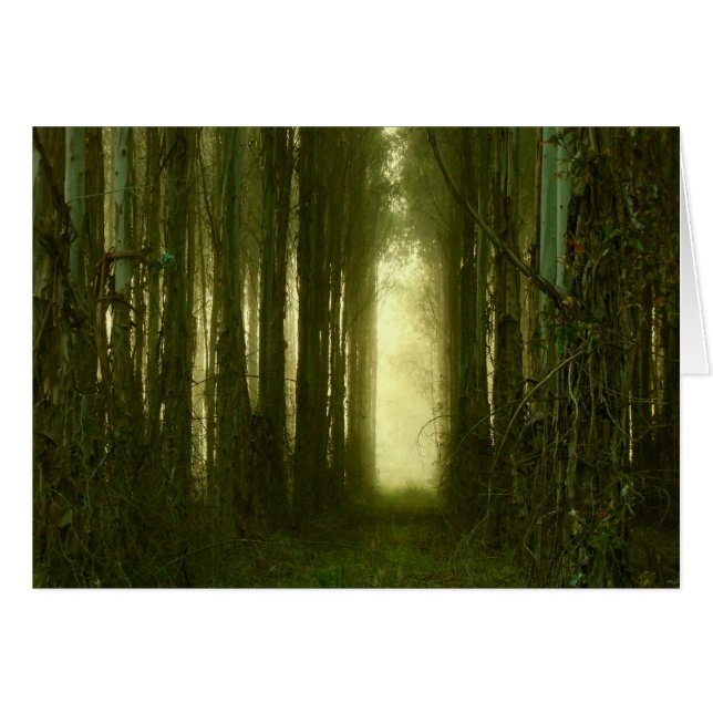 Der Weg in mein Herz (Vorderseite (Horizontal))