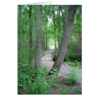 Der Weg ist selten gereist