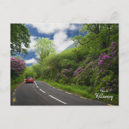 Der Weg nach Killarney - Irland Postkarte