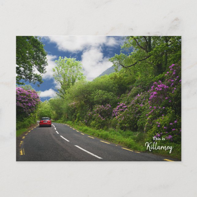 Der Weg nach Killarney - Irland Postkarte (Vorderseite)