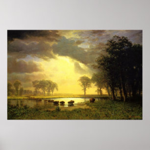 Der Weg vom Buffalo Poster