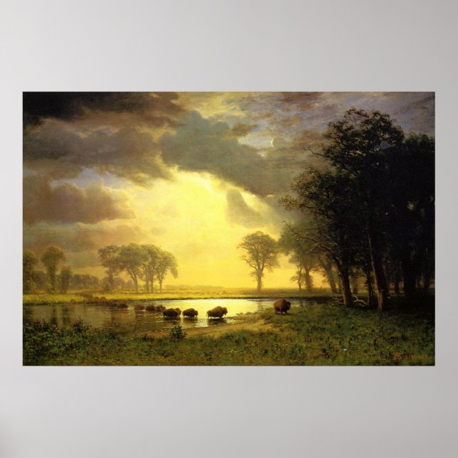 Der Weg vom Buffalo Poster (Vorne)