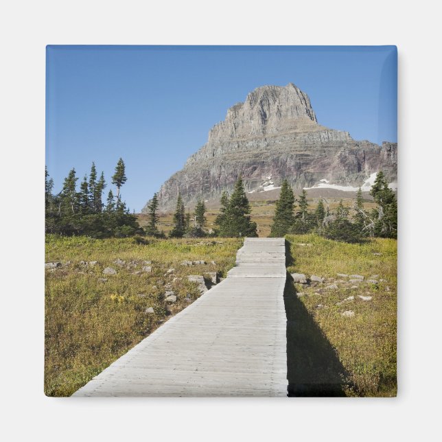 Der Weg zum Ausblick auf den Hidden Lake Magnet (Vorne)