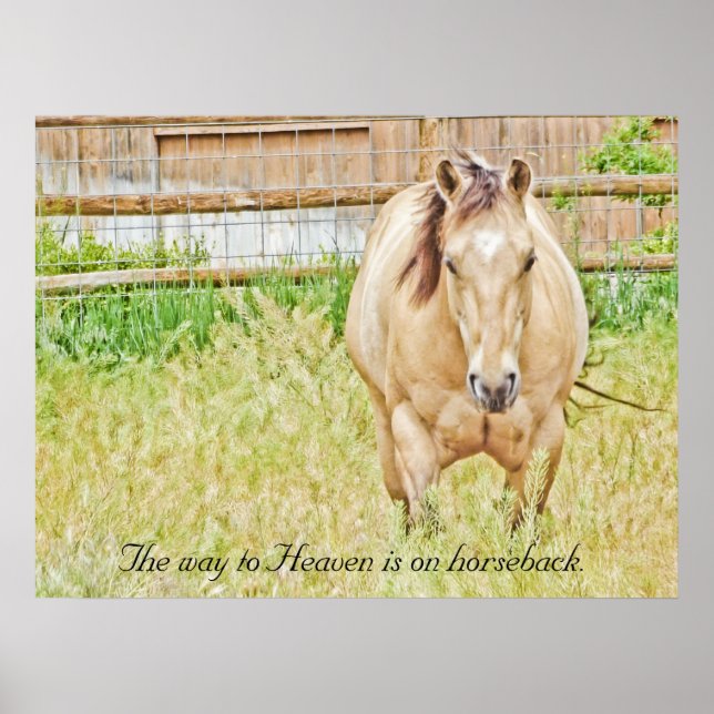 Der Weg zum Himmel Poster (Vorne)