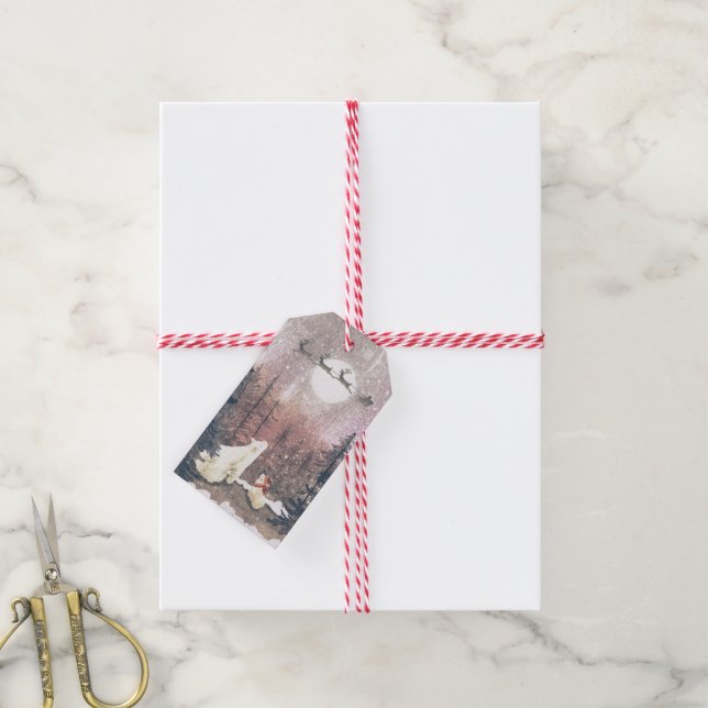 Der Weihnachtsmann und die Polar Geschenkanhänger (Mit Garn)