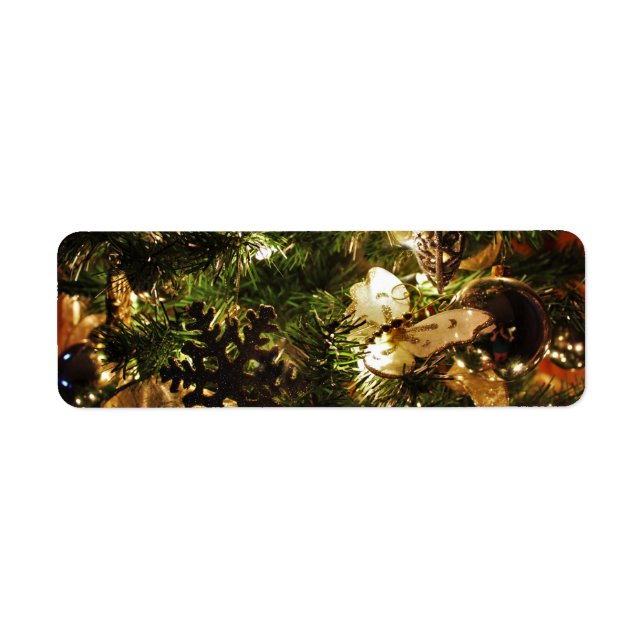 Der Weihnachtsschmetterling (Vorne)