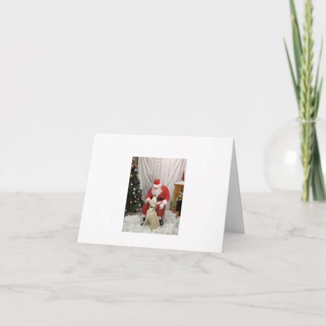 Der Weihnachtswunsch von der Jungfrau Dankeskarte (Vorderseite)