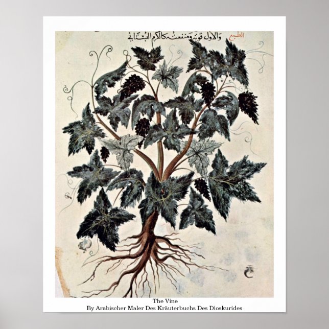 Der Wein Poster (Vorne)