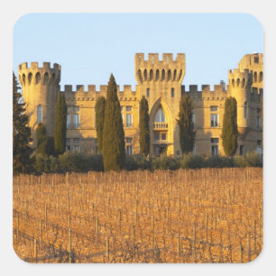 Der Weinberg mit Syrah-Reben und das Schloss Quadratischer Aufkleber