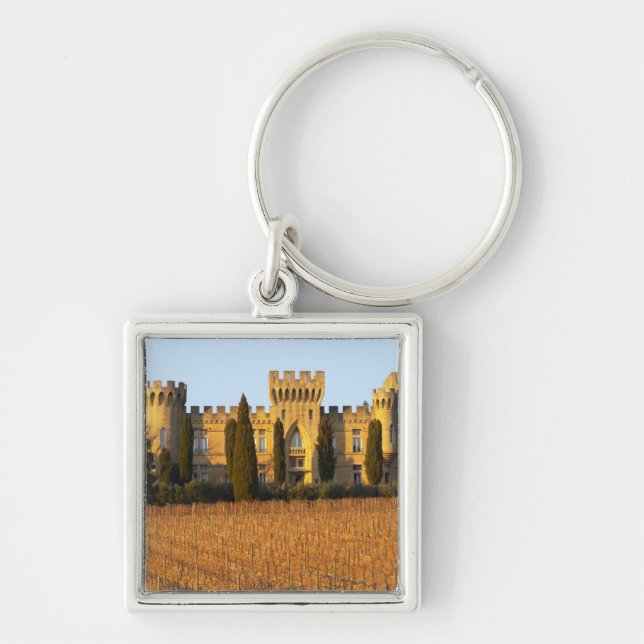 Der Weinberg mit syrah Reben und dem Chateau Schlüsselanhänger (Vorne)