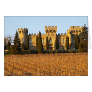 Der Weinberg mit Syrah-Reben und dem Schloss