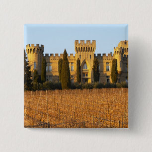 Der Weinberg mit Syrah-Reben und dem Schloss Button