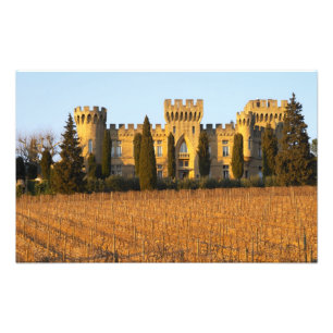 Der Weinberg mit Syrah-Reben und dem Schloss Fotodruck