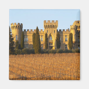 Der Weinberg mit Syrah-Reben und dem Schloss Magnet
