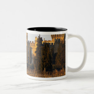 Der Weinberg mit Syrah-Reben und dem Schloss Zweifarbige Tasse