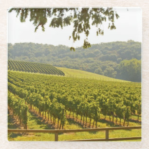 Der Weinberg und ein Tal mit einem Wald Glasuntersetzer