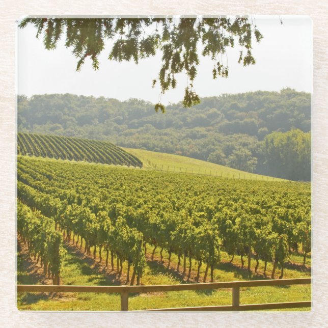 Der Weinberg und ein Tal mit einem Wald Glasuntersetzer (Vorderseite)