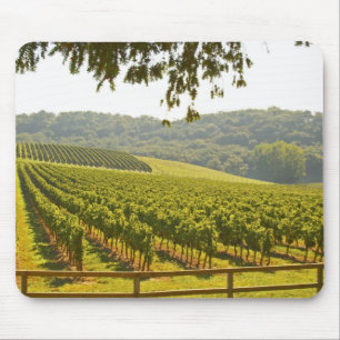Der Weinberg und ein Tal mit einem Wald - Mousepad