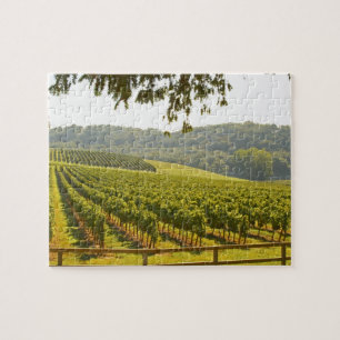 Der Weinberg und ein Tal mit einem Wald - Puzzle