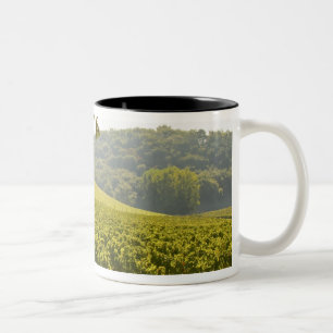 Der Weinberg und ein Tal mit einem Wald - Zweifarbige Tasse