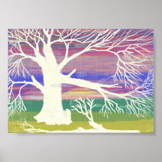 der weiße Baum Poster