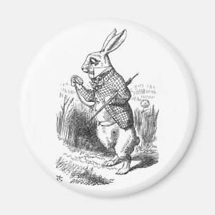 Der weiße Kaninchen mit Uhr Magnet