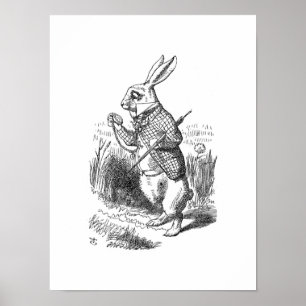 Der weiße Kaninchen Poster