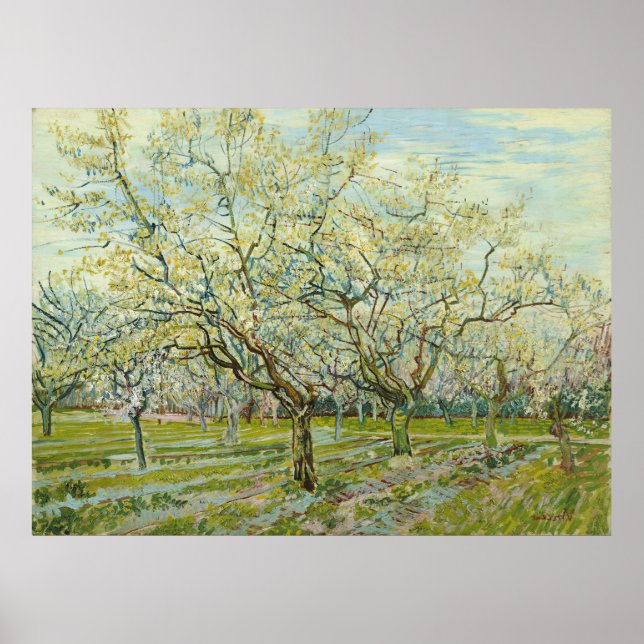 Der weiße Obstgarten von Vincent Van Gogh Poster (Vorne)