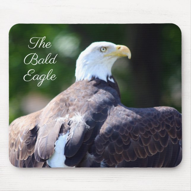 Der Weißkopfseeadler Mousepad (Vorne)