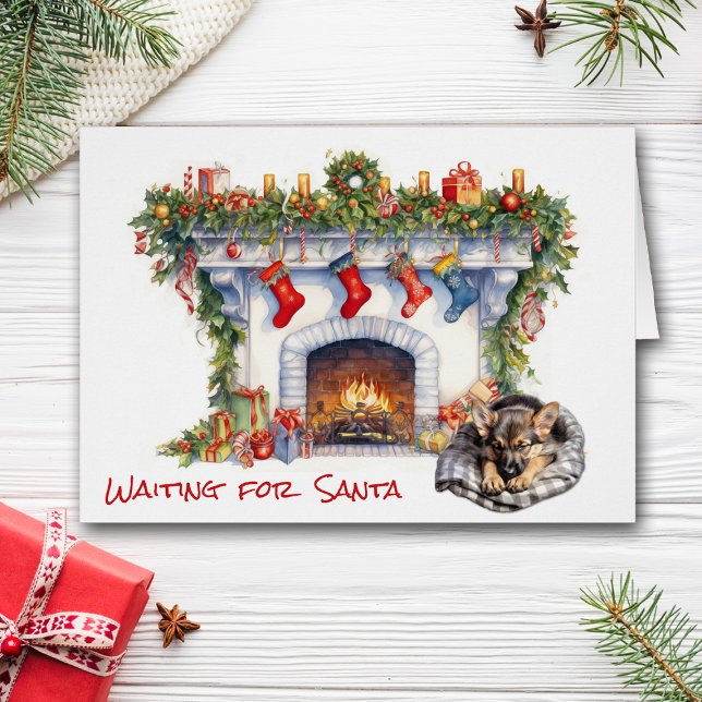 Der Welpe der Deutschen Hirte wartet auf den Weihn (Von Creator hochgeladen)