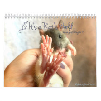 Der Weltkalender des Rates Kalender