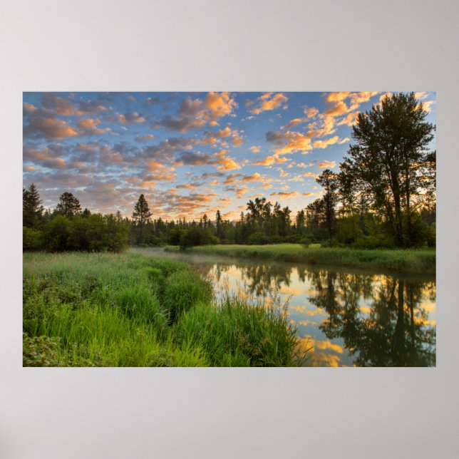 Der Whitefish River mit schönen Sonnenaufgangswolk Poster (Vorne)