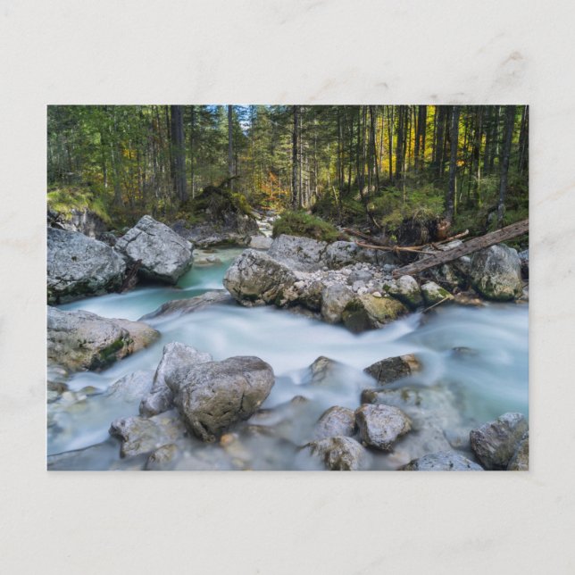 Der Wildbach Ramsauer Ache Postkarte (Vorderseite)