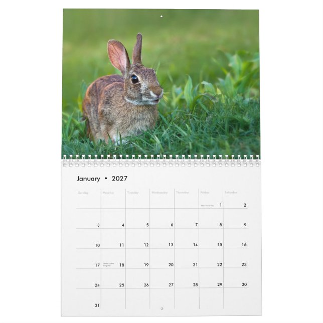 Der WildRescue 2013 Kalender! Kalender (Jan 2027)