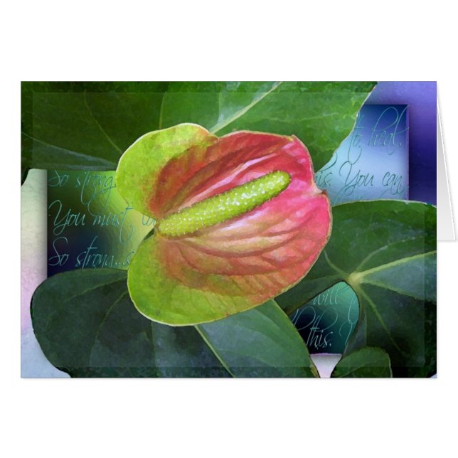 Der Wille zum zu heilen (Vorderseite (Horizontal))