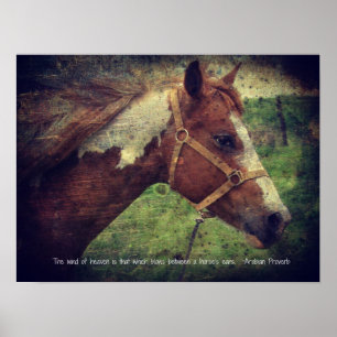 Der Wind des Himmels, blass Poster