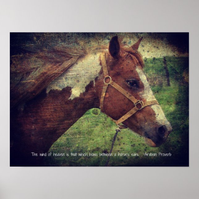 Der Wind des Himmels, blass Poster (Vorne)