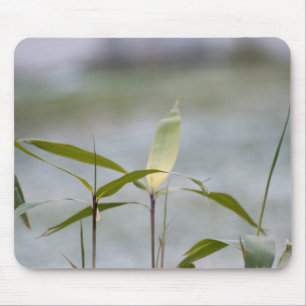 Der Winter kommt Mousepad