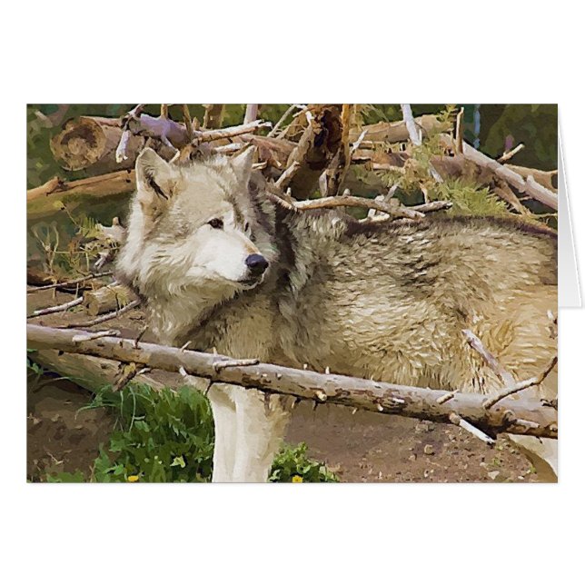 Der Wolf (Vorderseite (Horizontal))