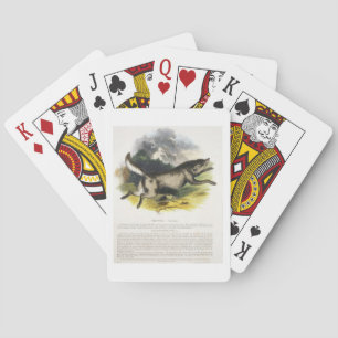 Der Wolf (Canis lupus) pu Spielkarten
