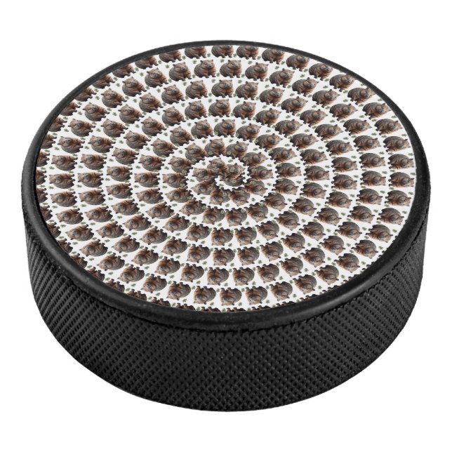 Der Wombat Whirlpool: Ein Wunder, Eishockey Puck (3/4)