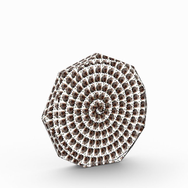 Der Wombat Whirlpool: Ein Wunder, Fotoblock (Links)